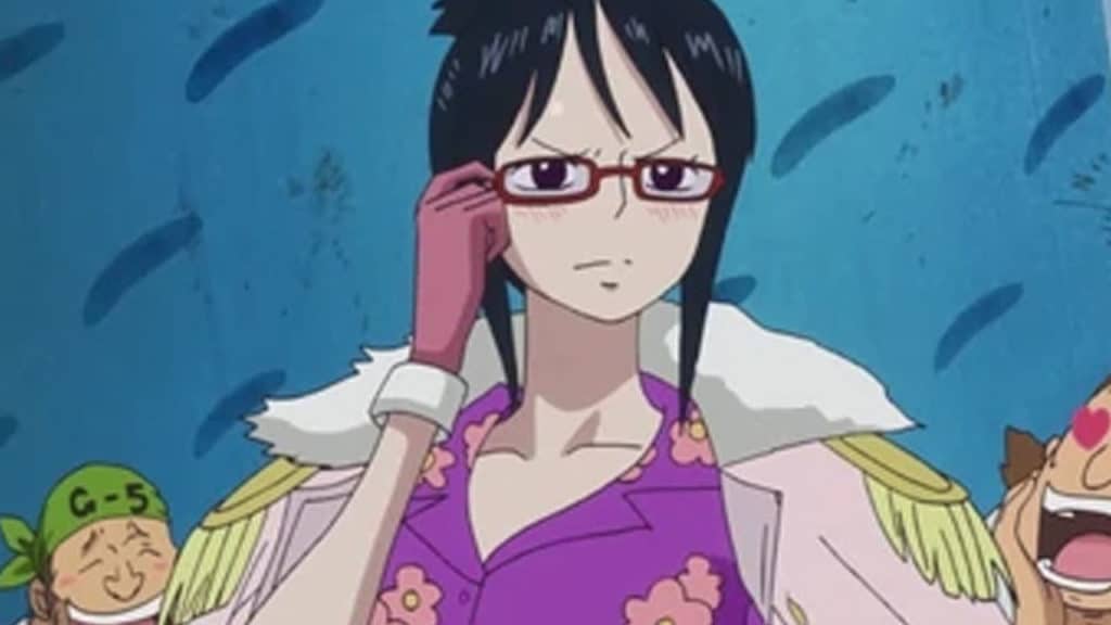 Tashigi Anime Post Timeskip Infobox One Piece Official Birthdays One Piece Official Birthdays