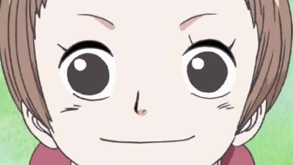 Yuki Anime Infobox One Piece Official Birthdays One Piece Official Birthdays