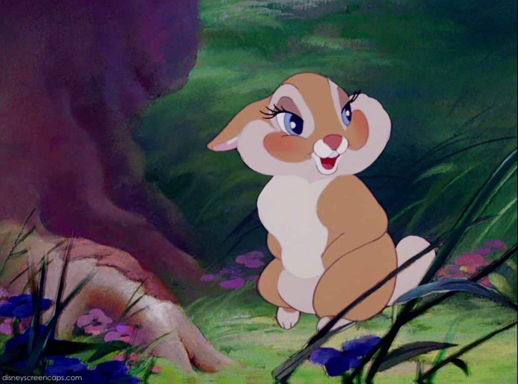 miss bunny