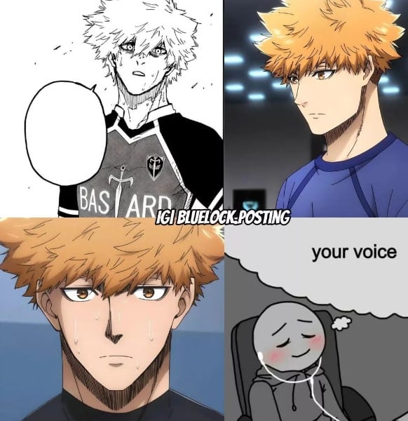 Meme 8